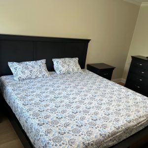 Infii Cartis 100% Cotton Bedsheet Set #CB1001