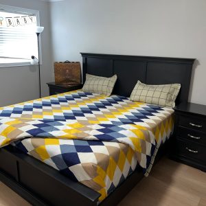 Infii Brida double bed duvet + king size bedsheet set #AQ1001