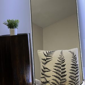 Infii Designed Cushion - Stylish Decor for Greater Toronto Area Homes #RC1022