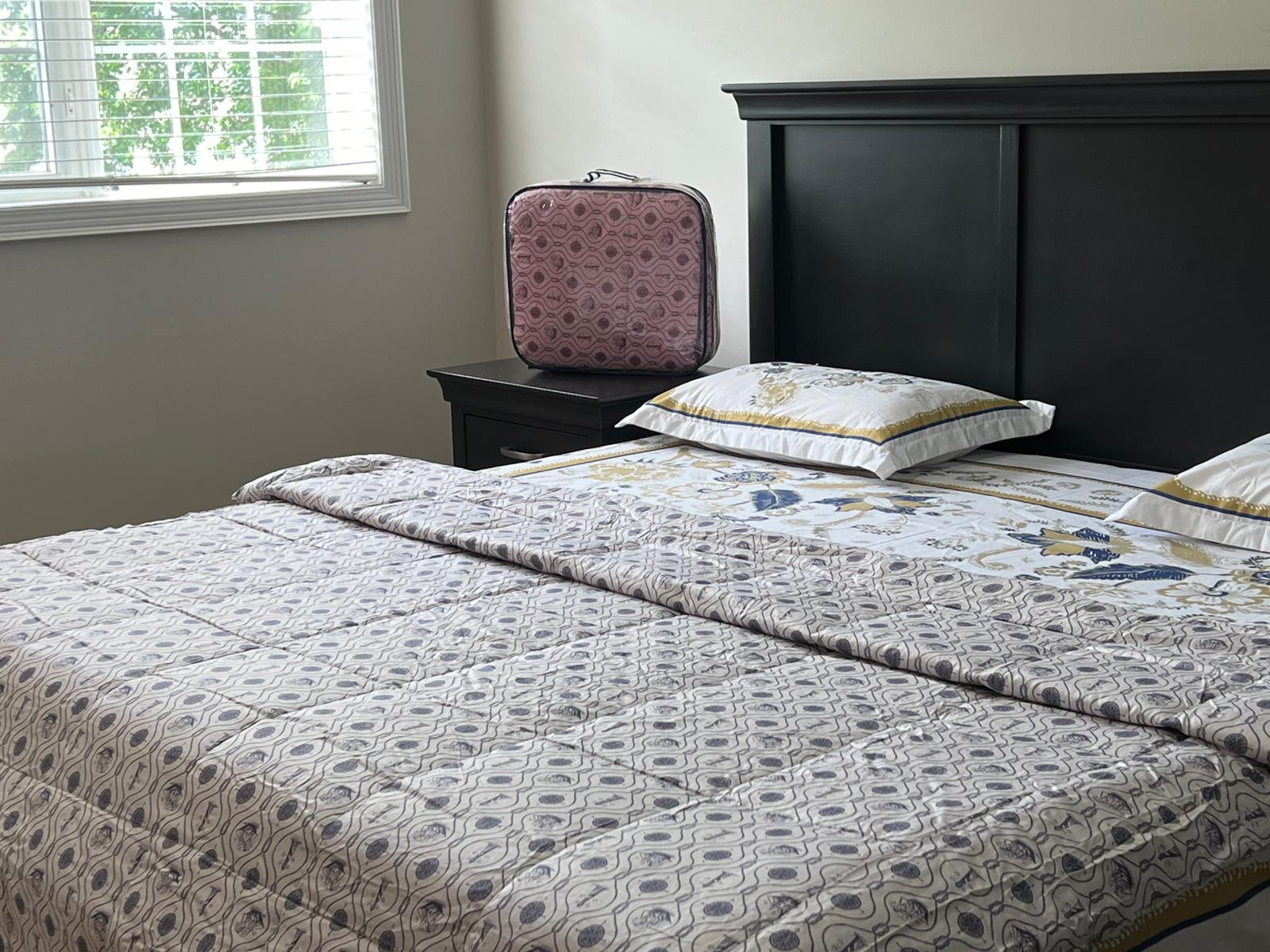 WhatsApp Image 2025-01-02 at 8.50.03 PM